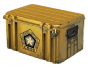 Cases icon